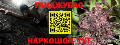 СК Донецк