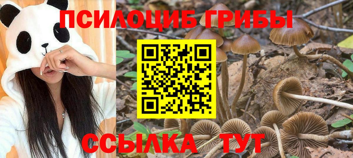 Галлюциногенные грибы мицелий  Вход с VPN  Назарово 