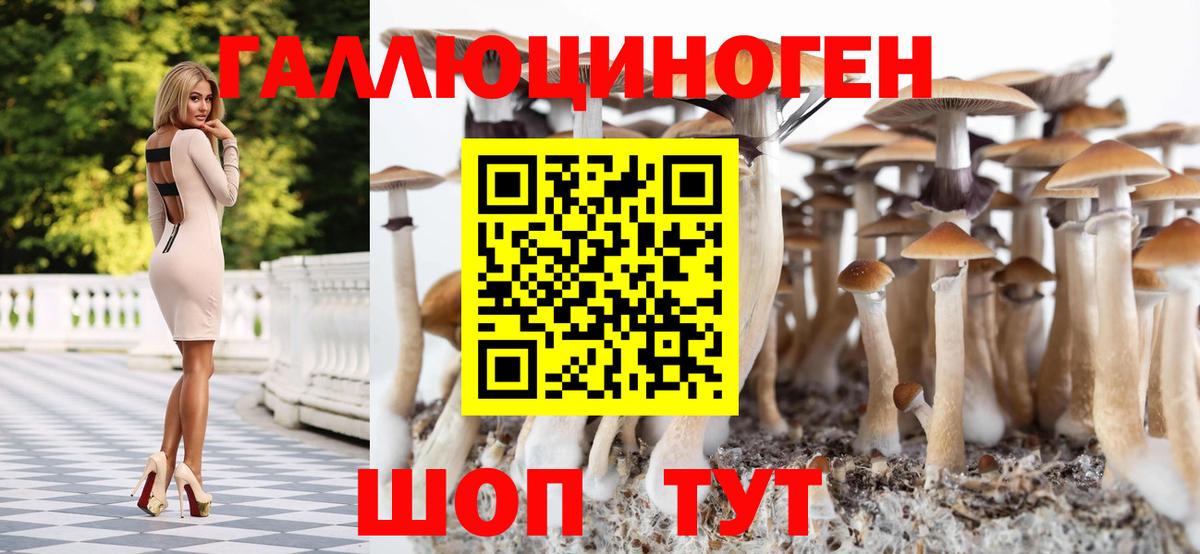 Псилоцибиновые грибы ЛСД Назарово